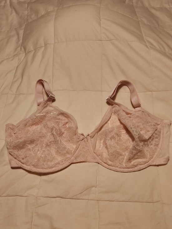 Hsia Other - HSIA Nude Blush Full Coverage Bra - 36H